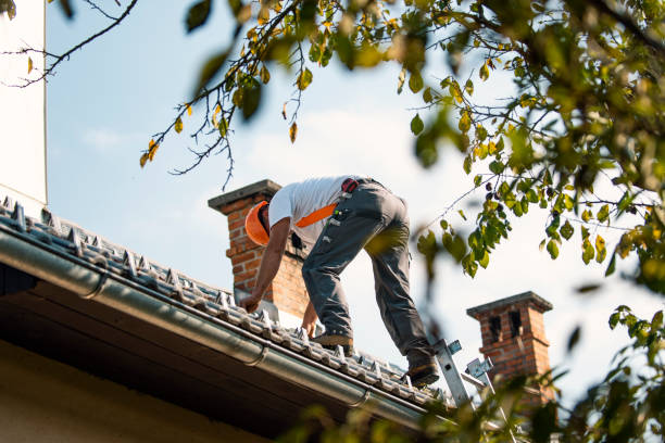 Best Roof Maintenance Services  in Jefferson, NC