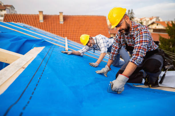 Best Flat Roof Repair Services  in Jefferson, NC