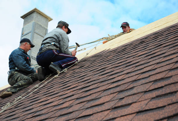 Best Roof Leak Repair  in Jefferson, NC